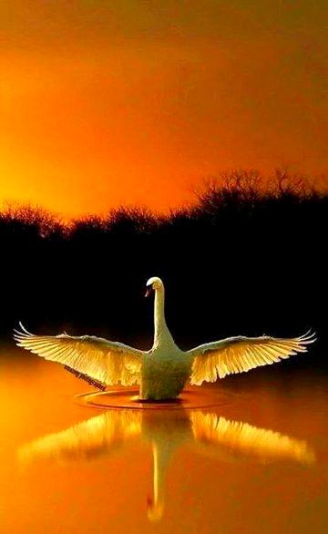 Beautiful Nature image