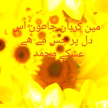 """''':::