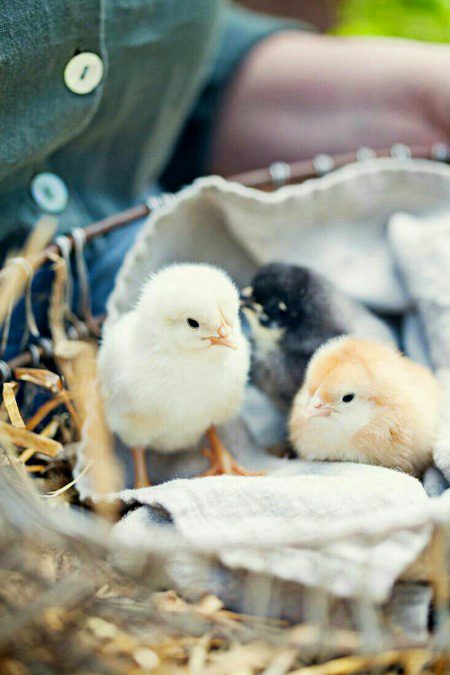 Beautiful Nature image