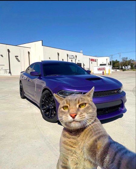 Beautiful Nature image