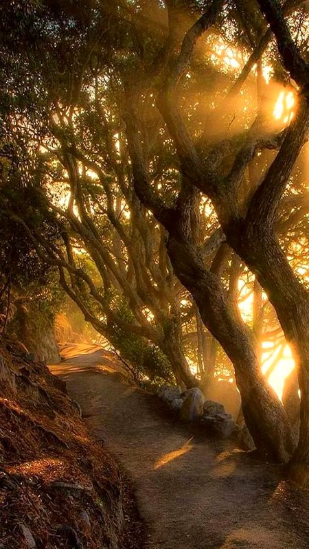 Beautiful Nature image