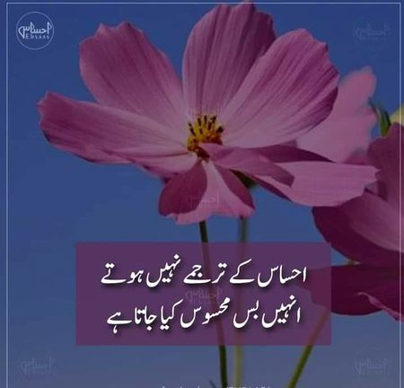 Life Advice image