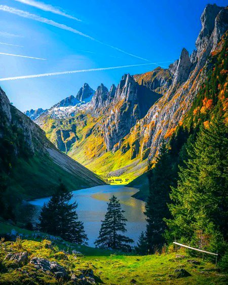 Beautiful Nature image