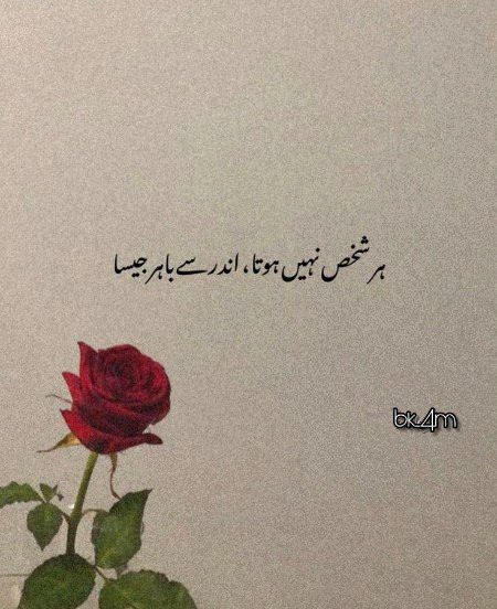 Attitude Quotes image