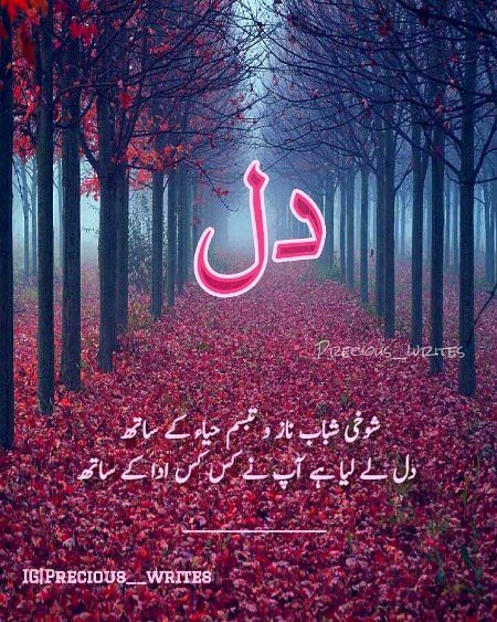 Saanaam ❣️❣️