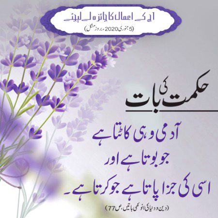 Islamic Quotes image