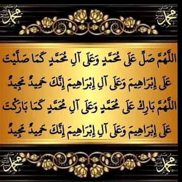 🌹🌷🌹🌷 Bushi 🌹🌷🌹🌷
