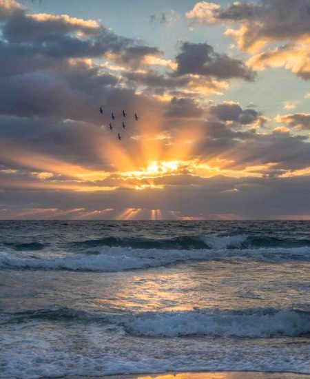 Beautiful Nature image