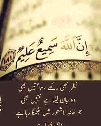 🌹🍀🌹🍀🌹🍀🌹🍀🌹🍀