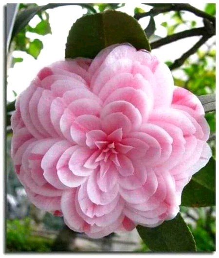 Beautiful nature