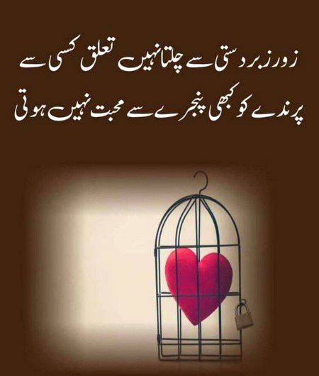 Blkl Saanaam❣️❣️