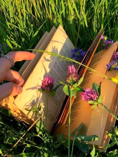 زندگی تصویر بھی ہے اور تقدیر بھی
فرق صرف رنگوں کا ہوتا ہے
من چاہے رنگوں سے بنے تو تصویر
اور ۔۔۔
انجانے رنگوں سے بنے تو تقدیر