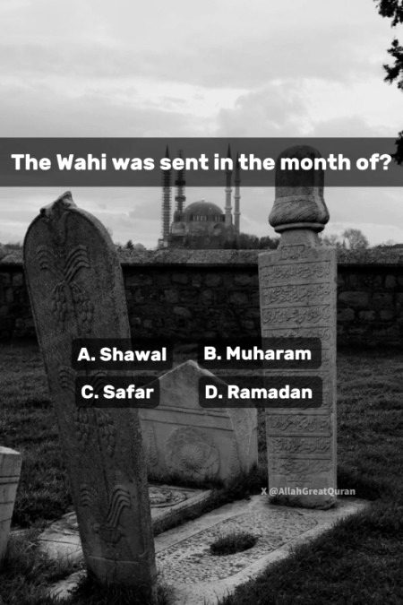 Knowledge Test image