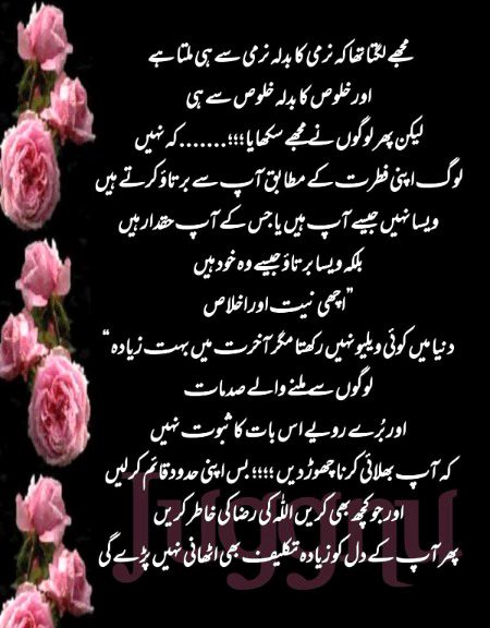 🥀🥀🥀🥀🥀🥀....