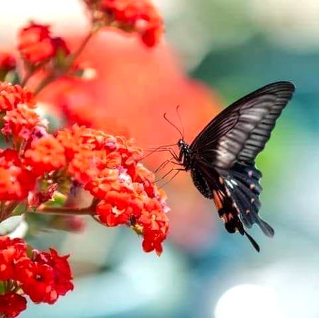 Have a new day with new opportunities 💓