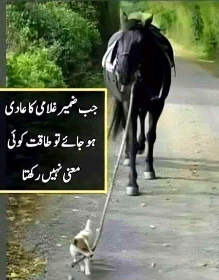 جب ضمیر غلامی کا عادی
