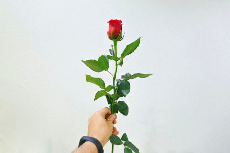Parshy Ab Jan Logi Pls Sorry Na 😞This is For You🌷🌹😘
