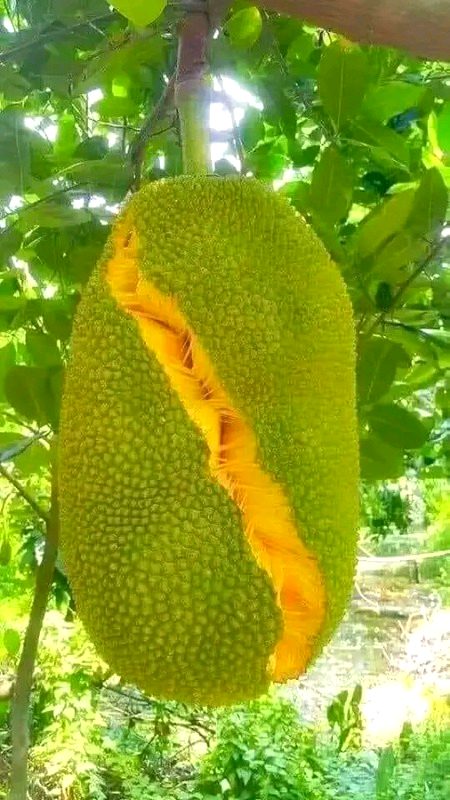 Beautiful Nature image