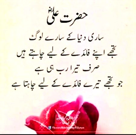 Beshak ❣️🌹❣️