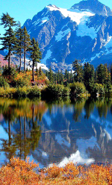 Beautiful Nature image