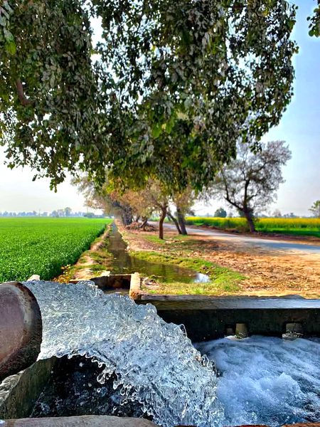 Beautiful Nature image