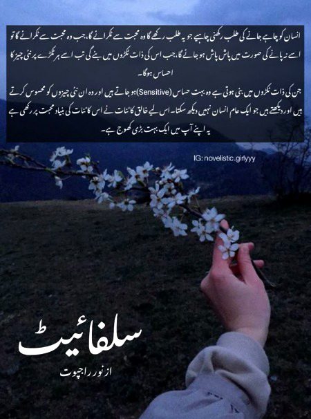 Romantic Novels image