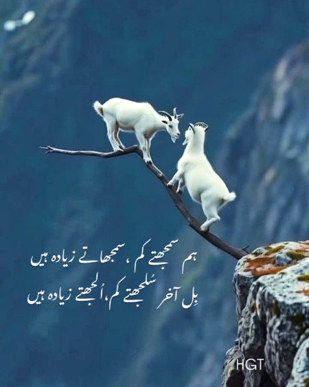 Attitude Poetry image