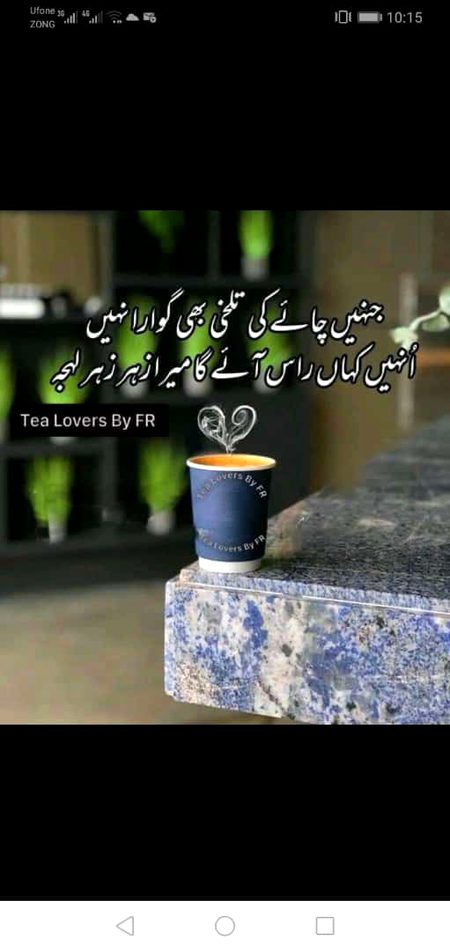 Attitude Quotes image