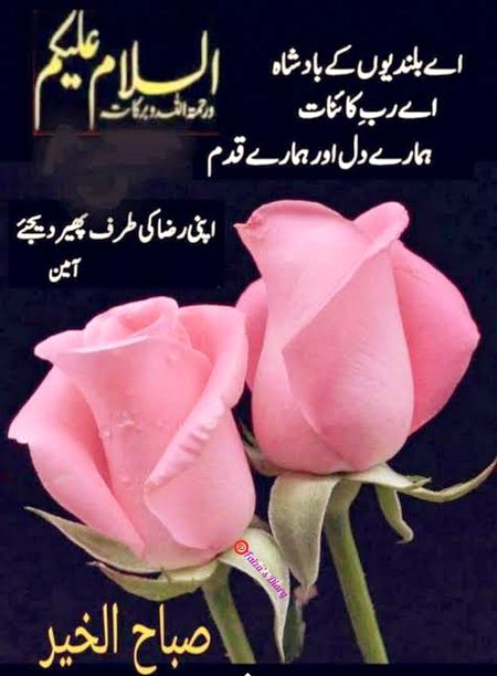 Islamic Quotes image