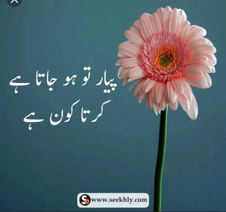 ہڑتاکون ہے