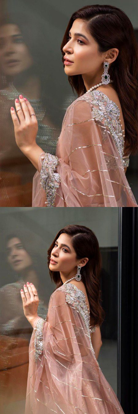 Pakistani Celebs image