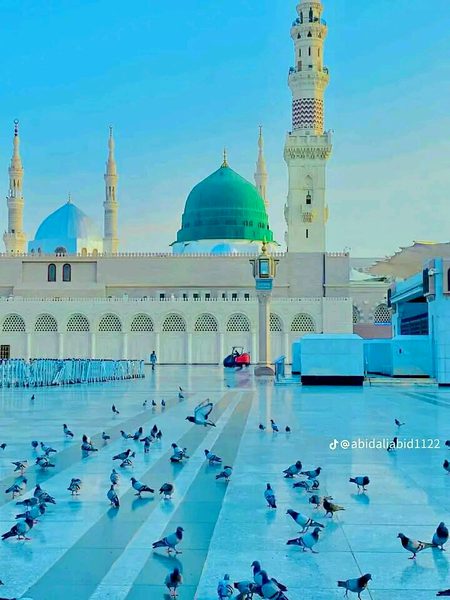 Beautiful Structures image