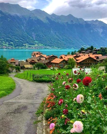 Beautiful Nature image