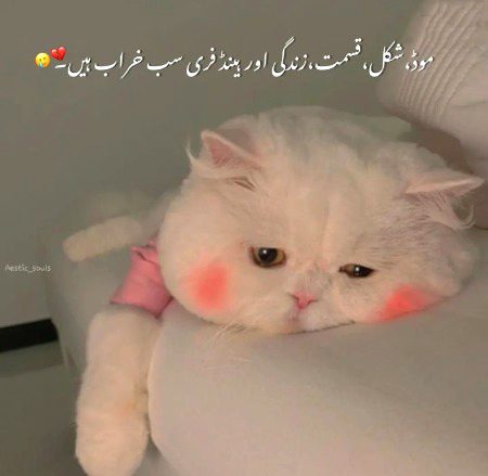 Sad Poetry image