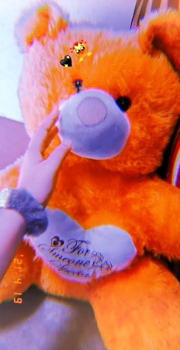 Teddy bear mri phly muhbt