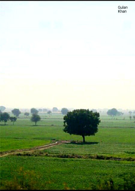 Beautiful Nature image