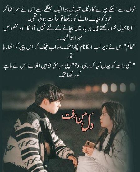 Romantic Novels image