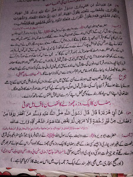 Islamic Quotes image