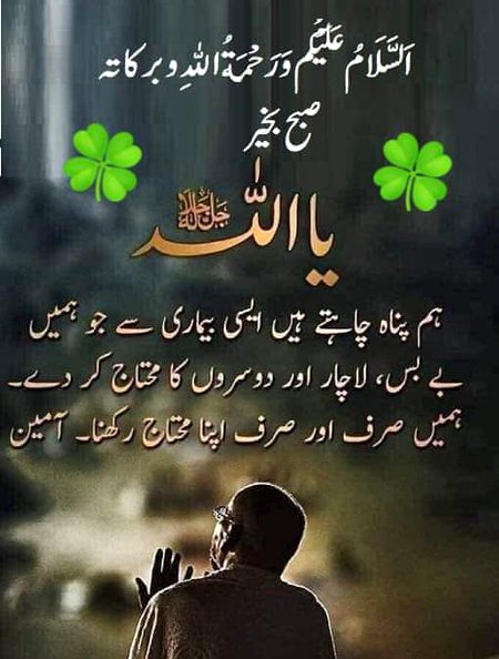Islamic Quotes image