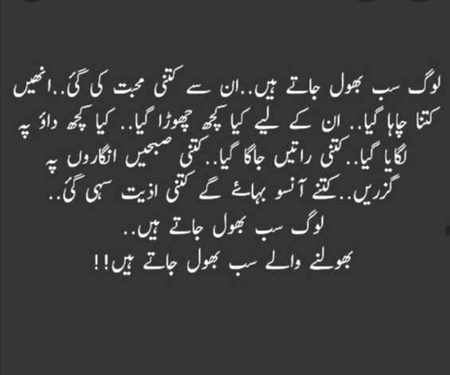 لوگ سب بھول جاتے ہیں بھولنے والے سب 👆💯بھول جاتے ہیں
💔Alóñé Gírl💔