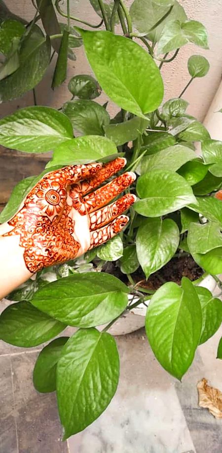 Mehndi Design image
