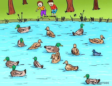 Riddles & Puzzles image