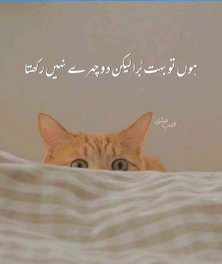 Attitude Quotes image