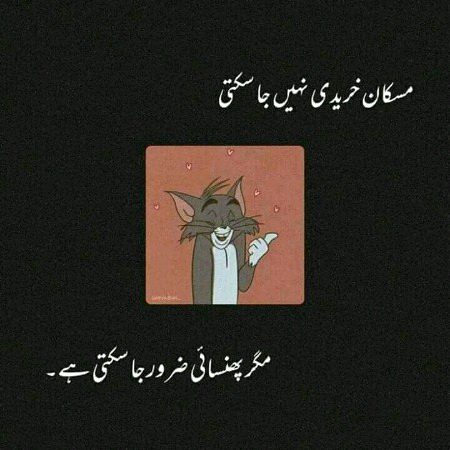 Memes & Satire image