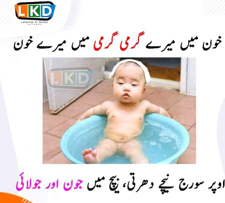 Memes & Satire image
