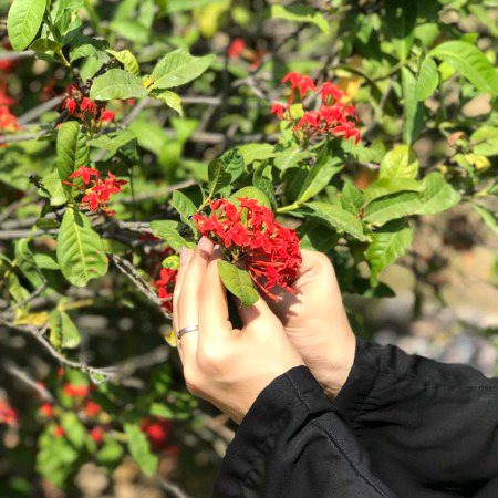 Beautiful Nature image