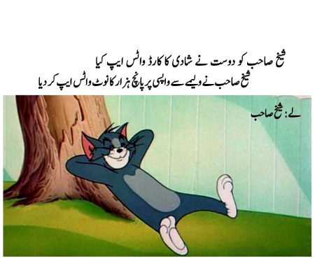 Memes & Satire image