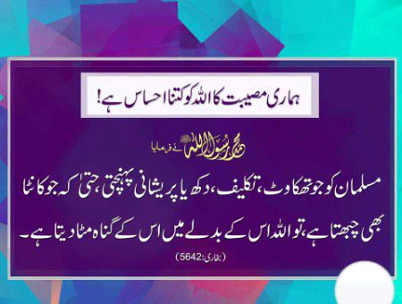 Islamic Quotes image