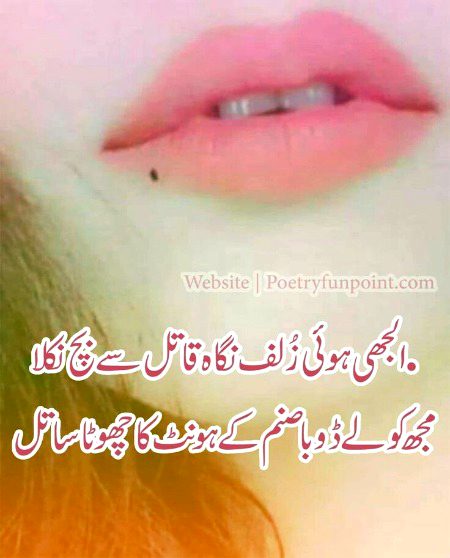 Romantic Poetry image