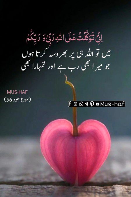 Islamic Quotes image